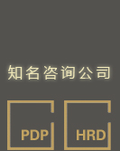 人力资源顾问公司